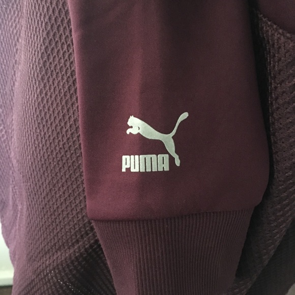 PUMA Evo Drapey Fullzip Hoodie Winetasting/Copper - Picture 5 of 5